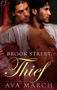 Thief book cover