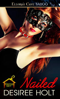 Erector Set book cover 3