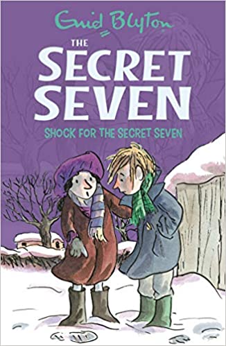 Shock for the Secret Seven book cover