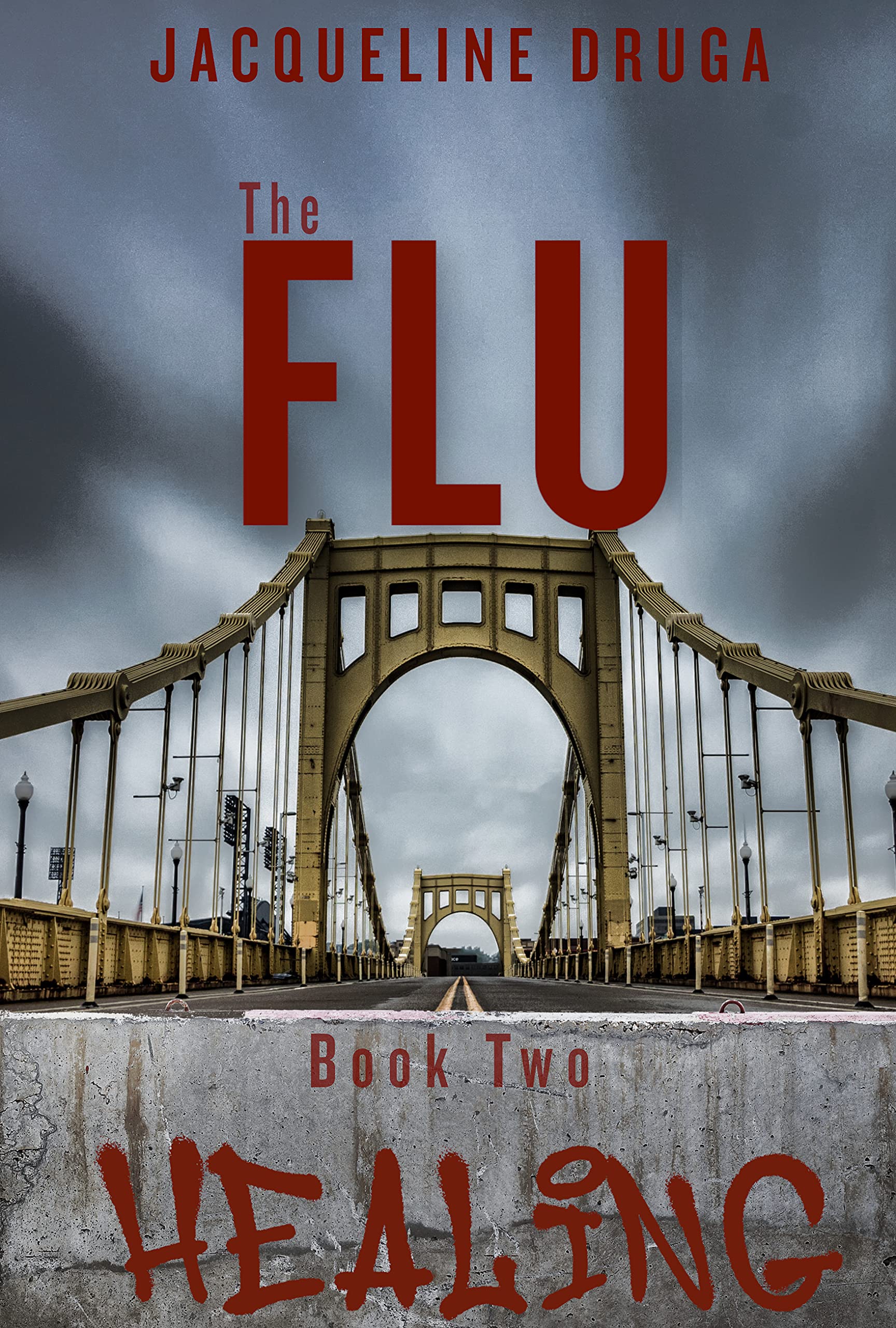 The Flu book cover 2