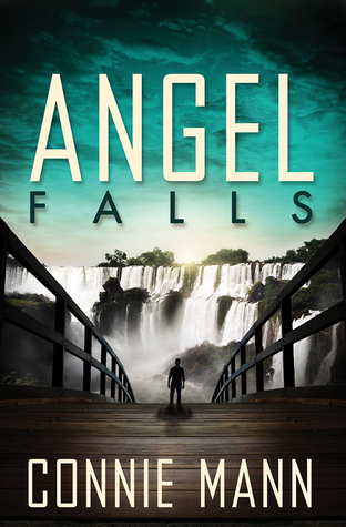 Angel Falls book cover