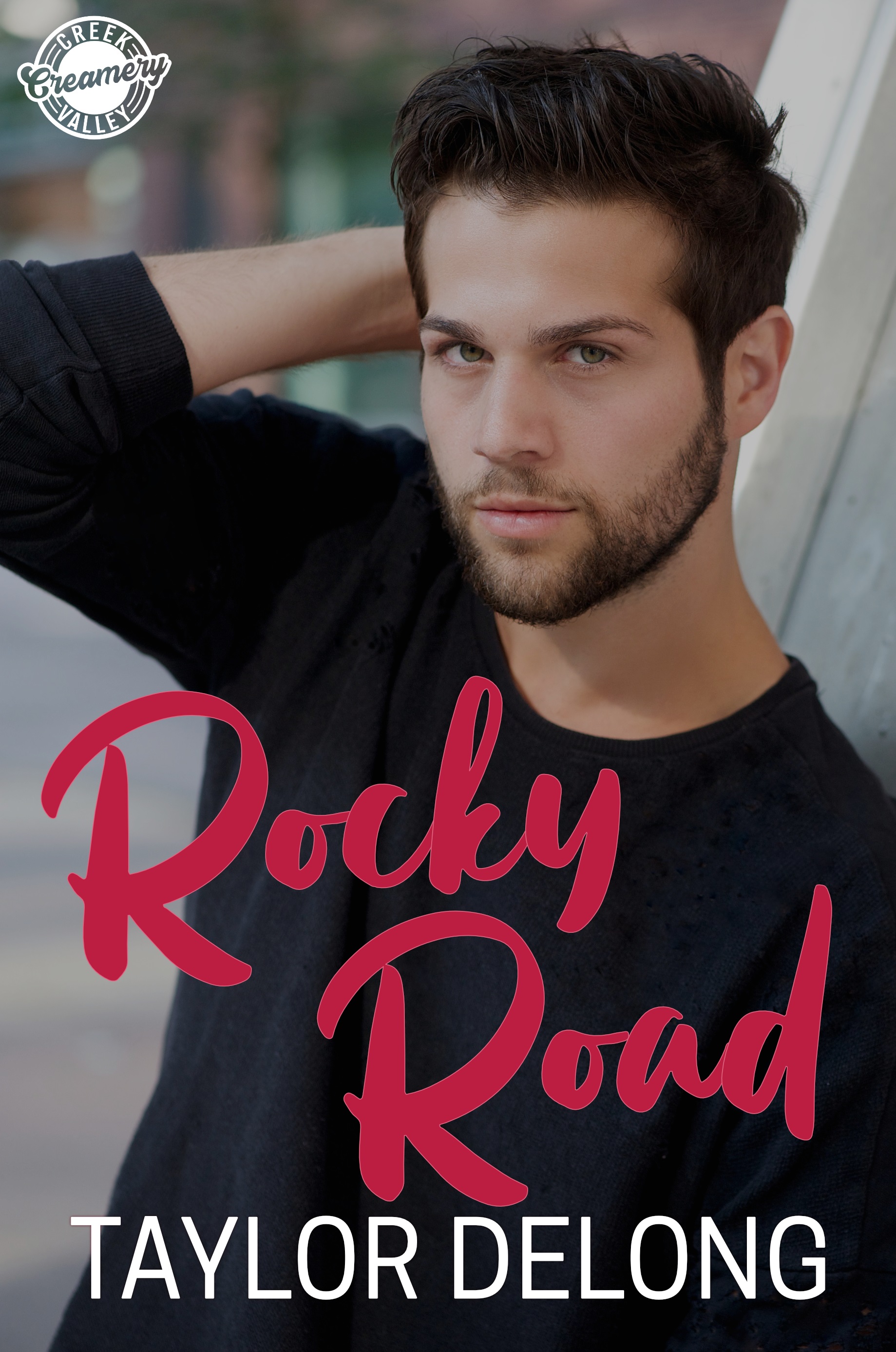 Rocky Road book cover