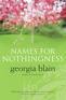 Names for Nothingness book cover