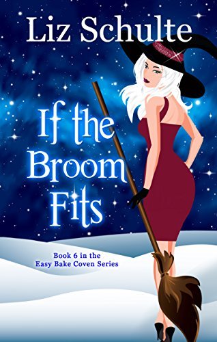 If the Broom Fits book cover