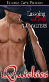 Courage Brothers of Texas book cover 2