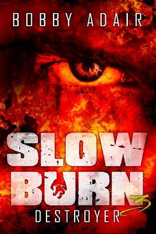Slow Burn book cover 3