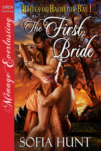 Brides of Bachelor Bay book cover 1
