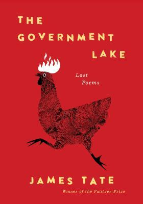 The Government Lake book cover