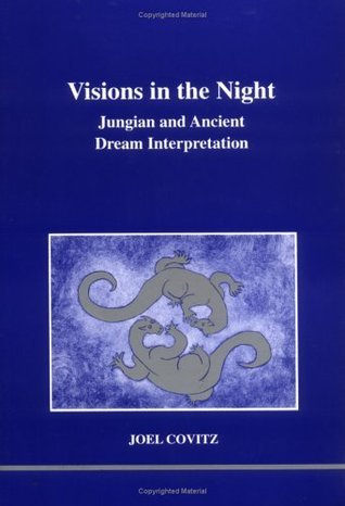Visions in the Night book cover