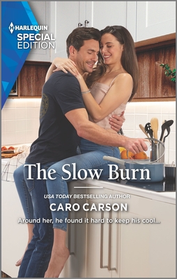 The Slow Burn book cover