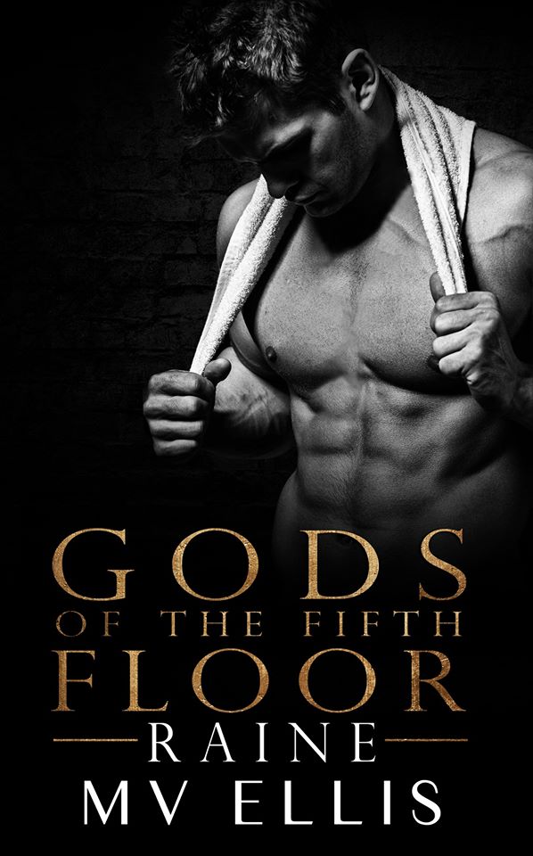 Gods of the Fifth Floor book cover 2