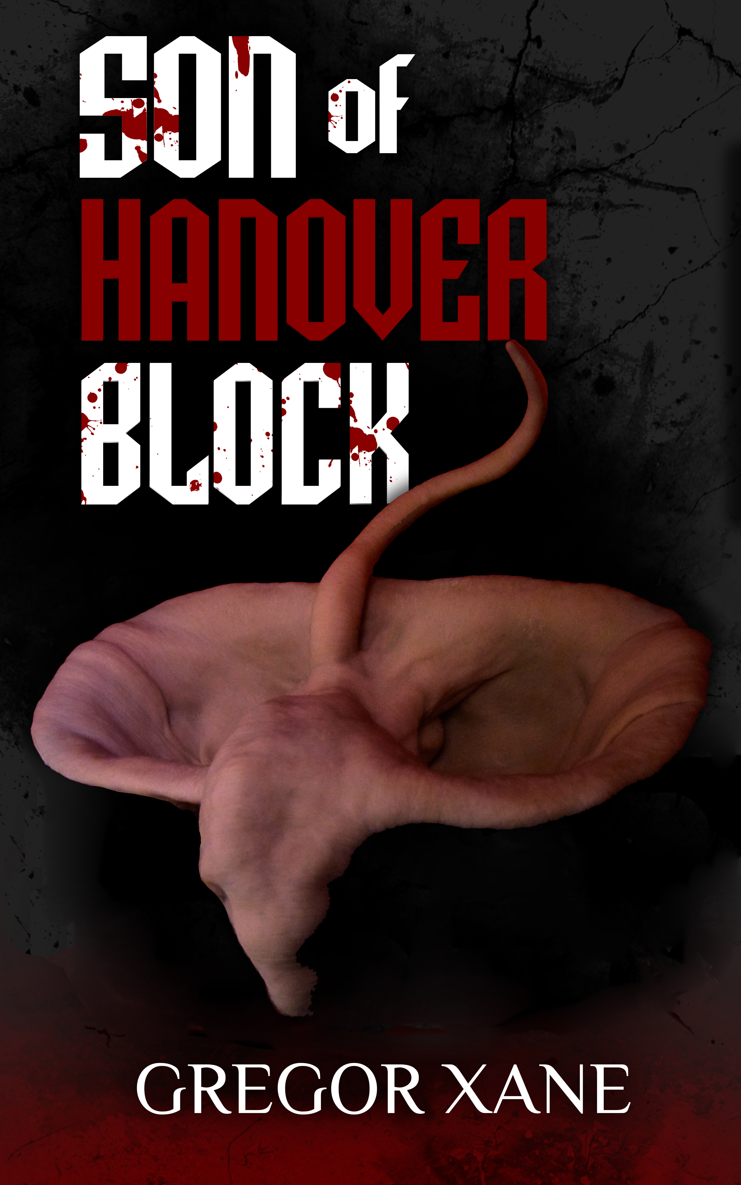 Son of Hanover Block book cover