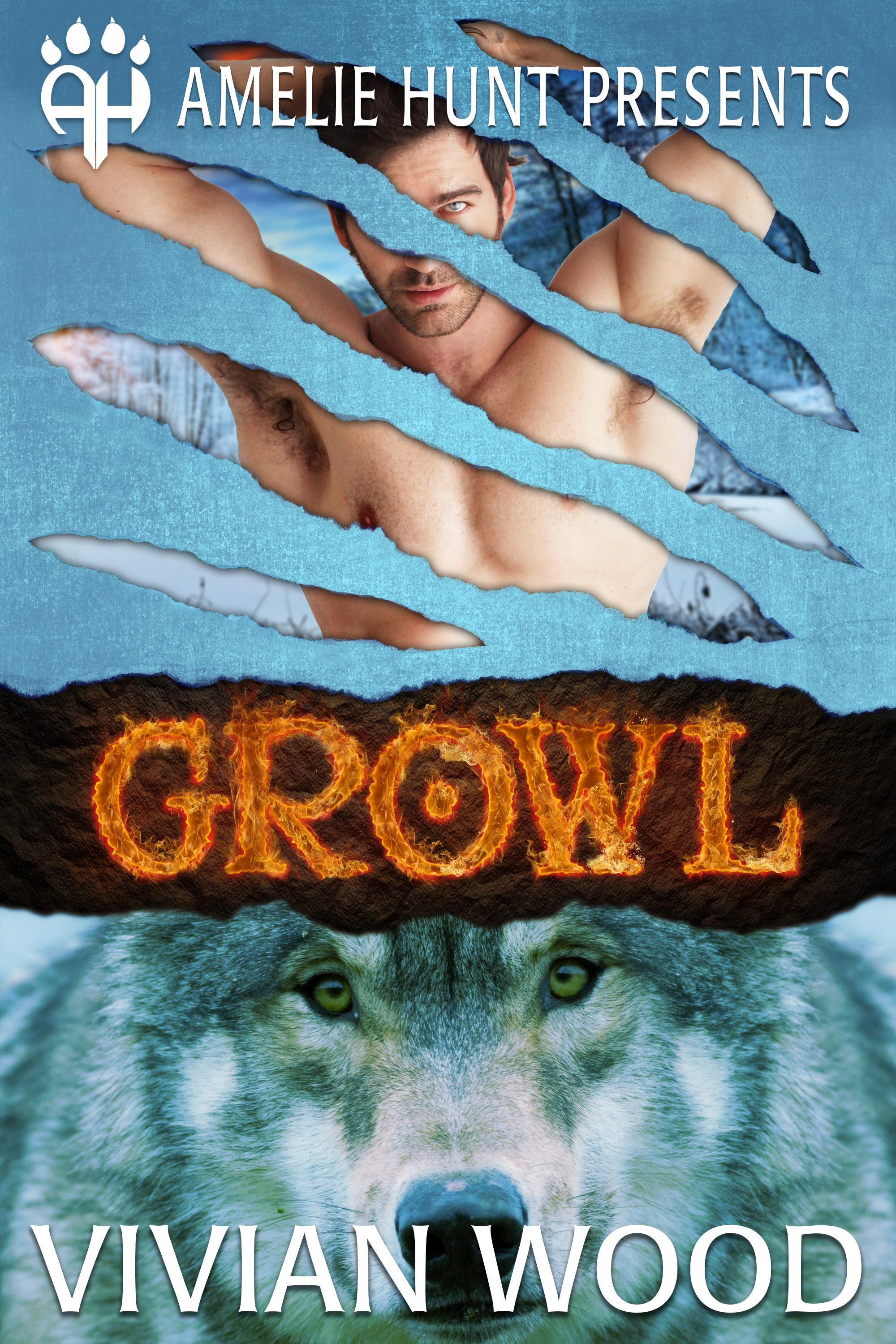 Winter Pass Wolves book cover 2