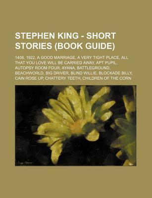 Stephen King - Short Stories (Book Guide) book cover