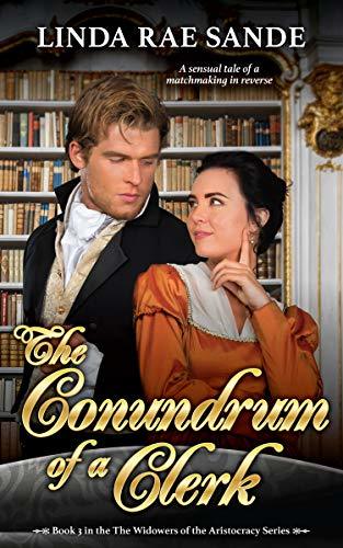 The Conundrum of a Clerk book cover