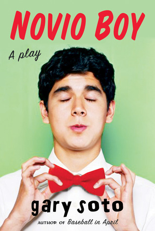 Novio Boy book cover