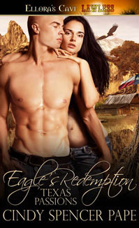 Texas Passions book cover 2