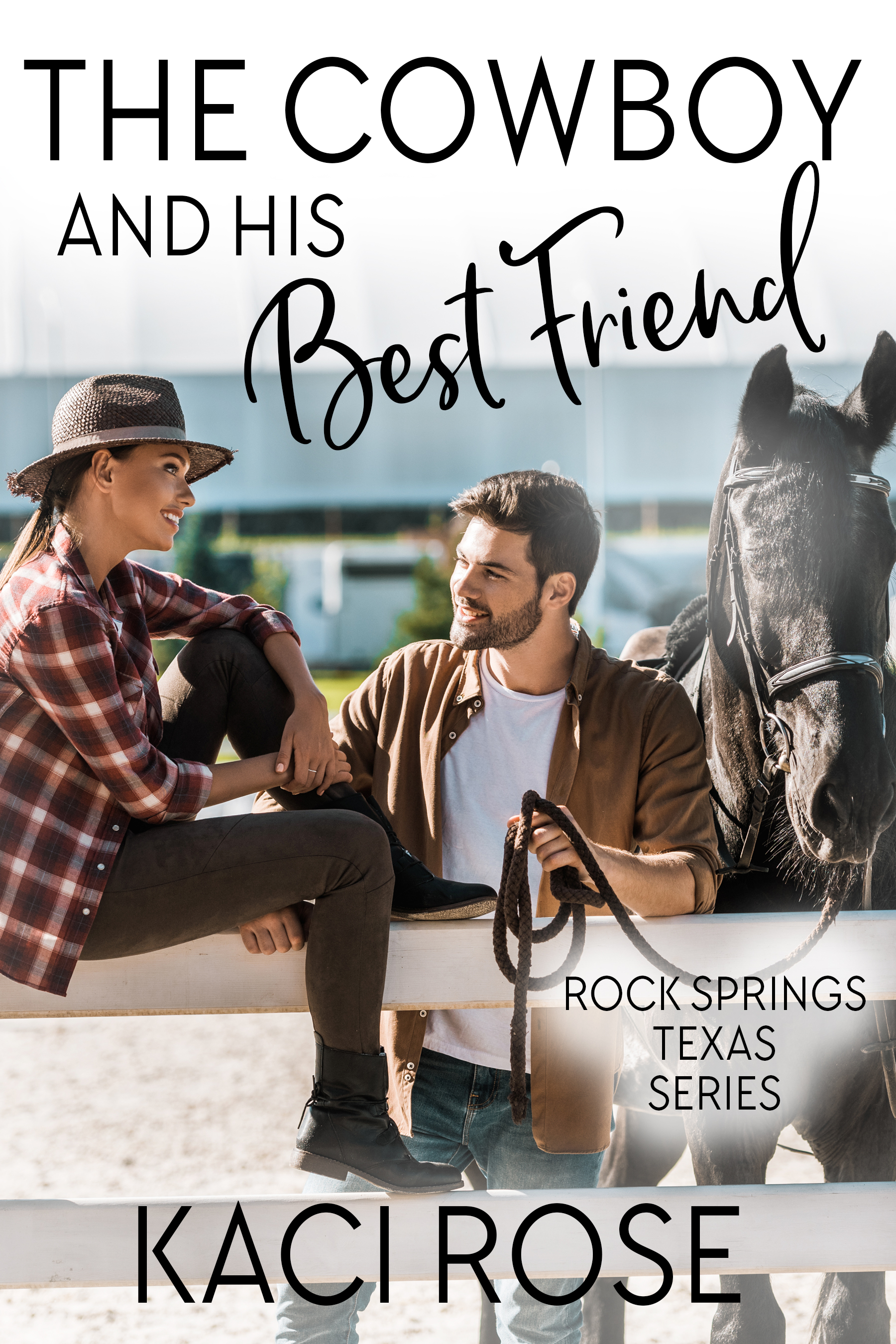 Rock Springs Texas book cover 2