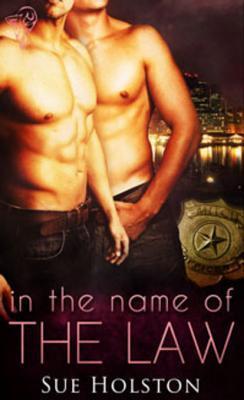 In the Name of the Law book cover