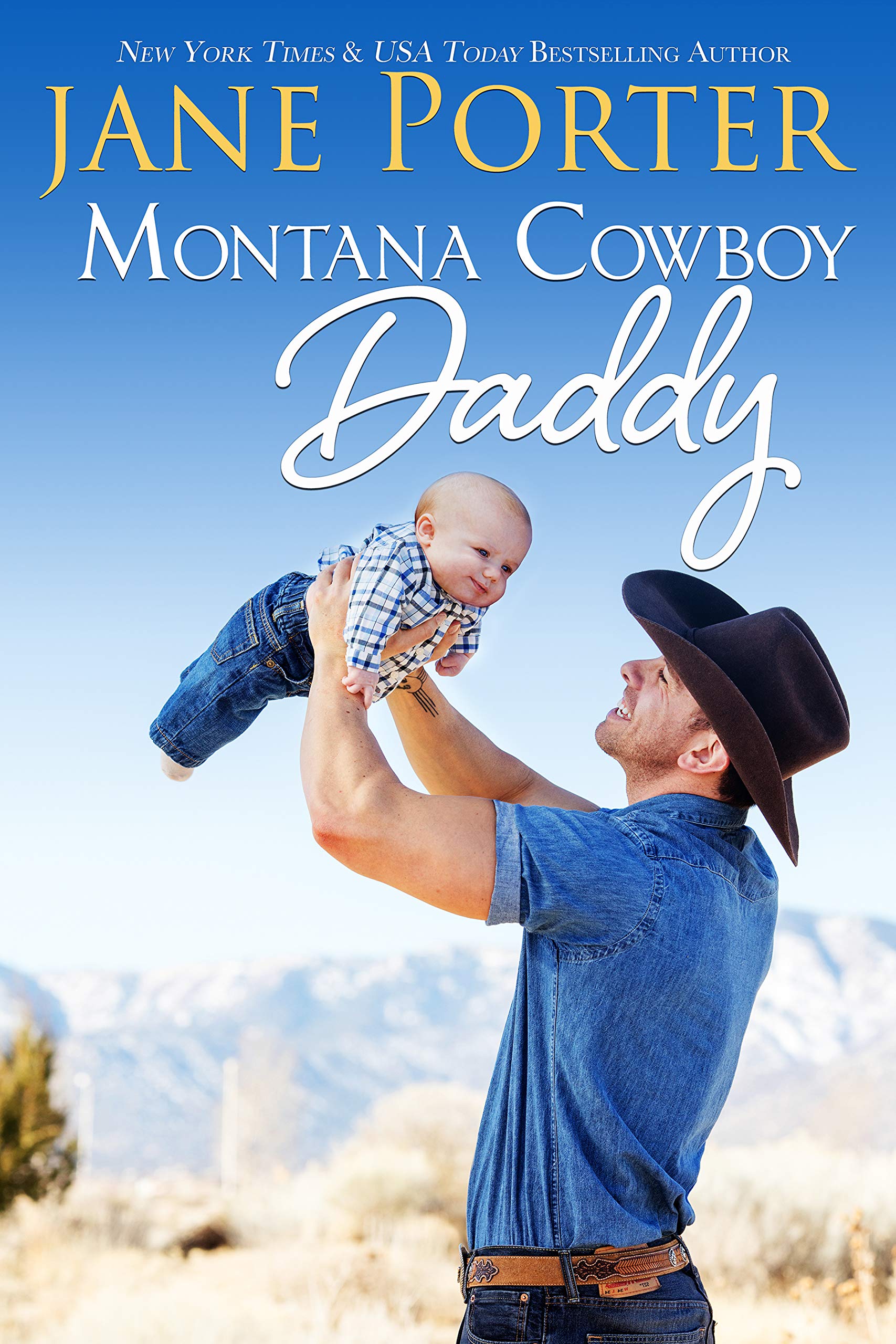 Wyatt Brothers of Montana book cover 3