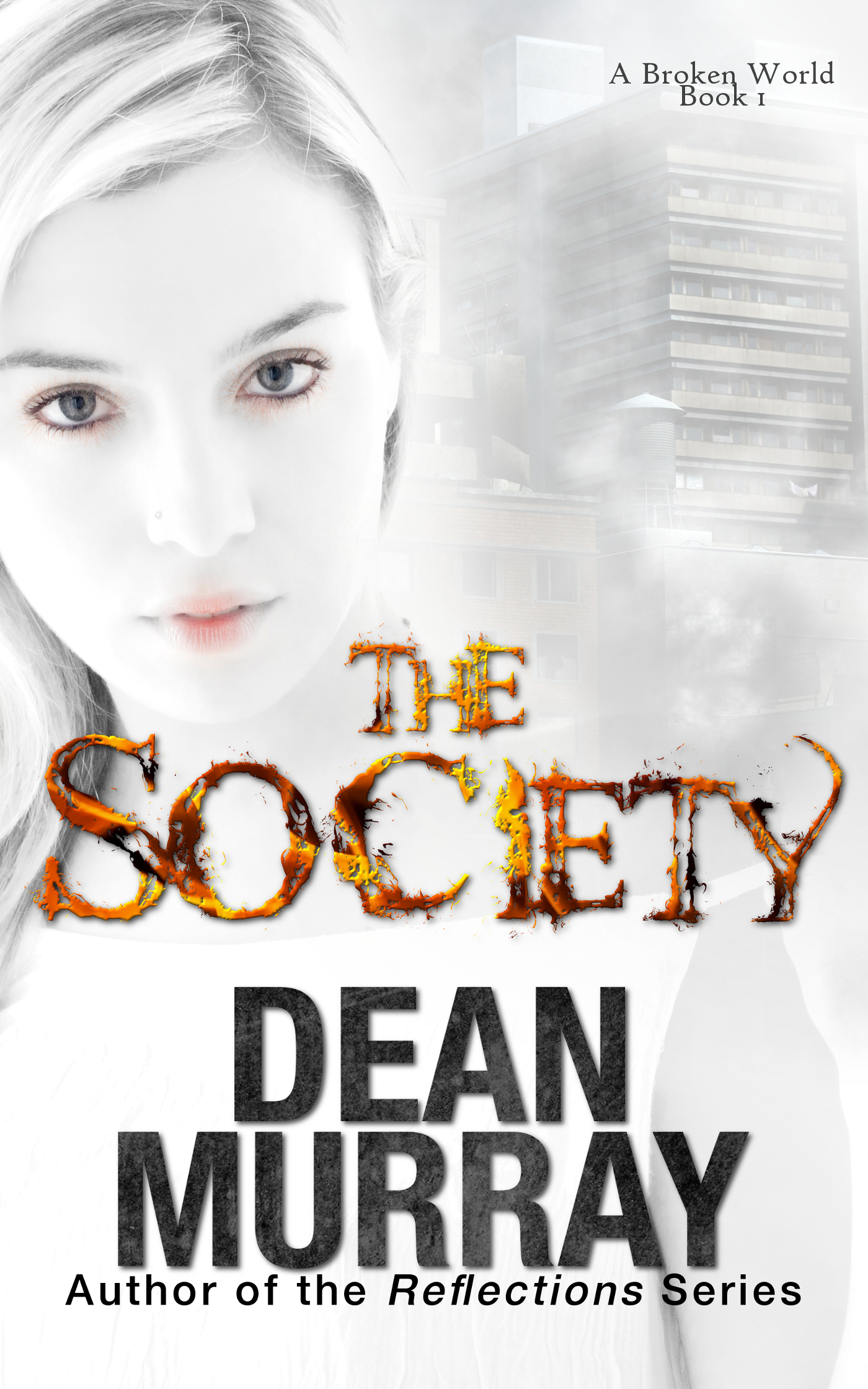 A Broken World book cover 1