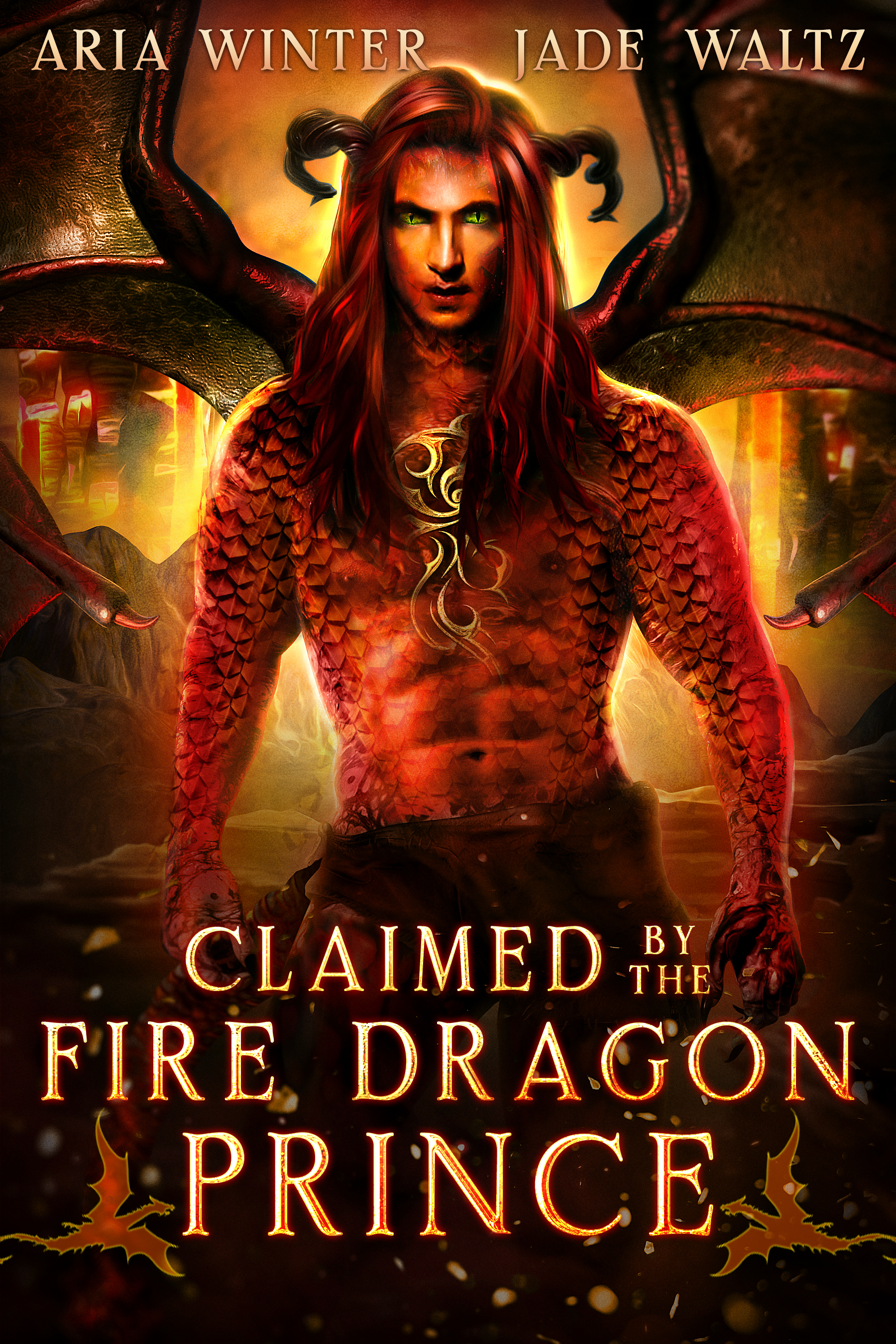 Elemental Dragon Warriors book cover 1