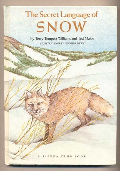 Secret Language of Snow book cover