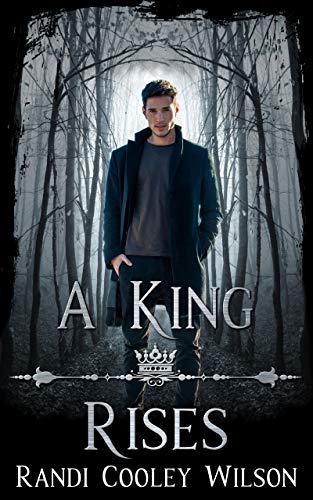 A King Rises book cover