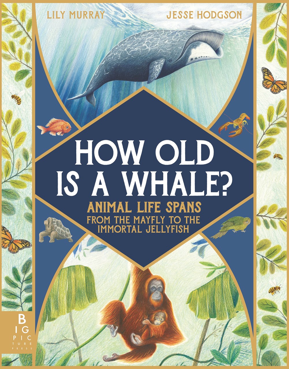 How Old is a Whale? book cover