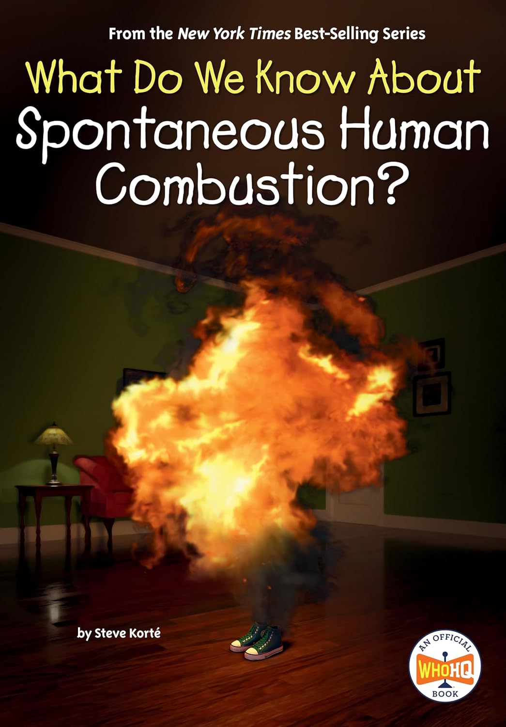 What Do We Know About Spontaneous Human Combustion? book cover