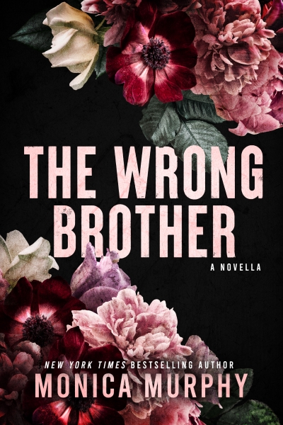The Wrong Brother book cover