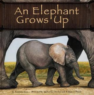 An Elephant Grows Up book cover