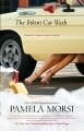 The Bikini Car Wash book cover