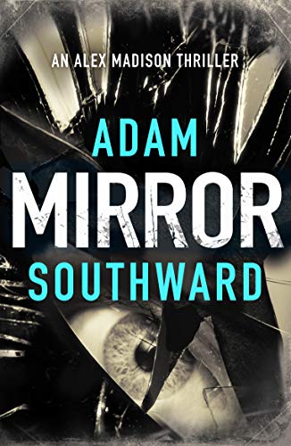 Alex Madison book cover 3