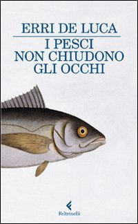 I pesci non chiudono gli occhi book cover