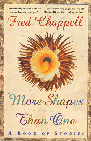 More Shapes Than One book cover