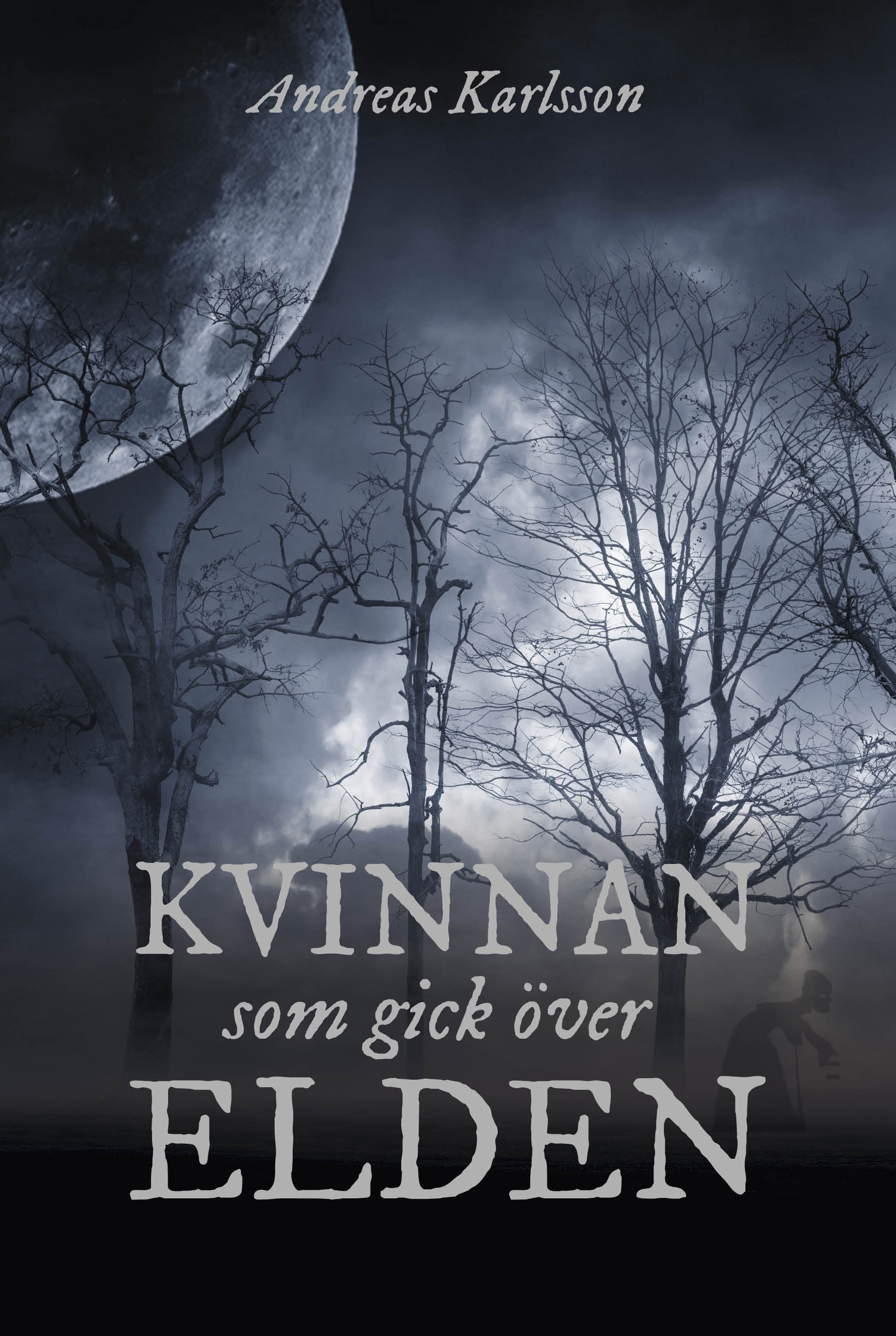 Kvinnan som gick över elden book cover