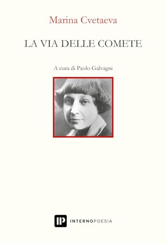 La via delle comete book cover
