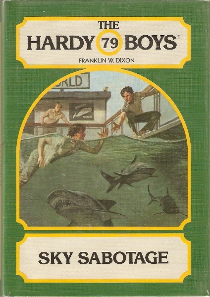 Sky Sabotage book cover