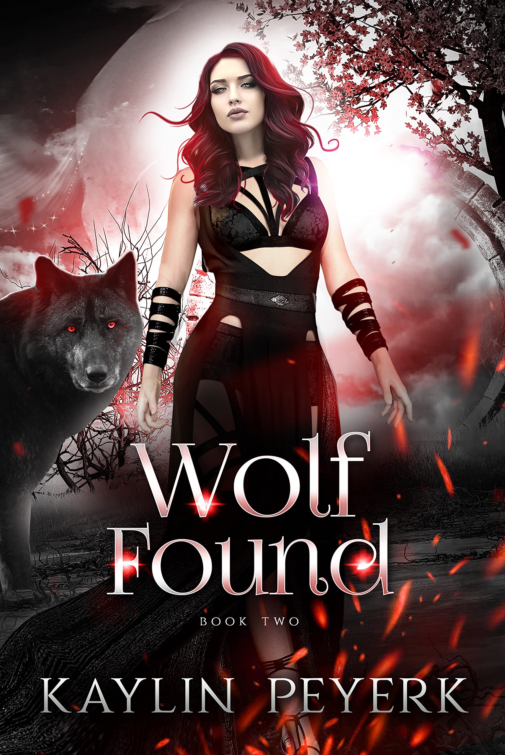 Her Ferocious Mates book cover 2