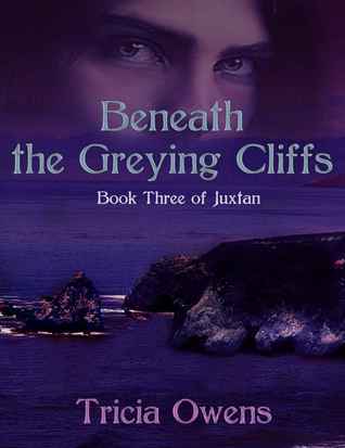 Juxtan book cover 3