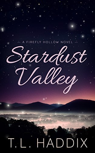Stardust Valley book cover