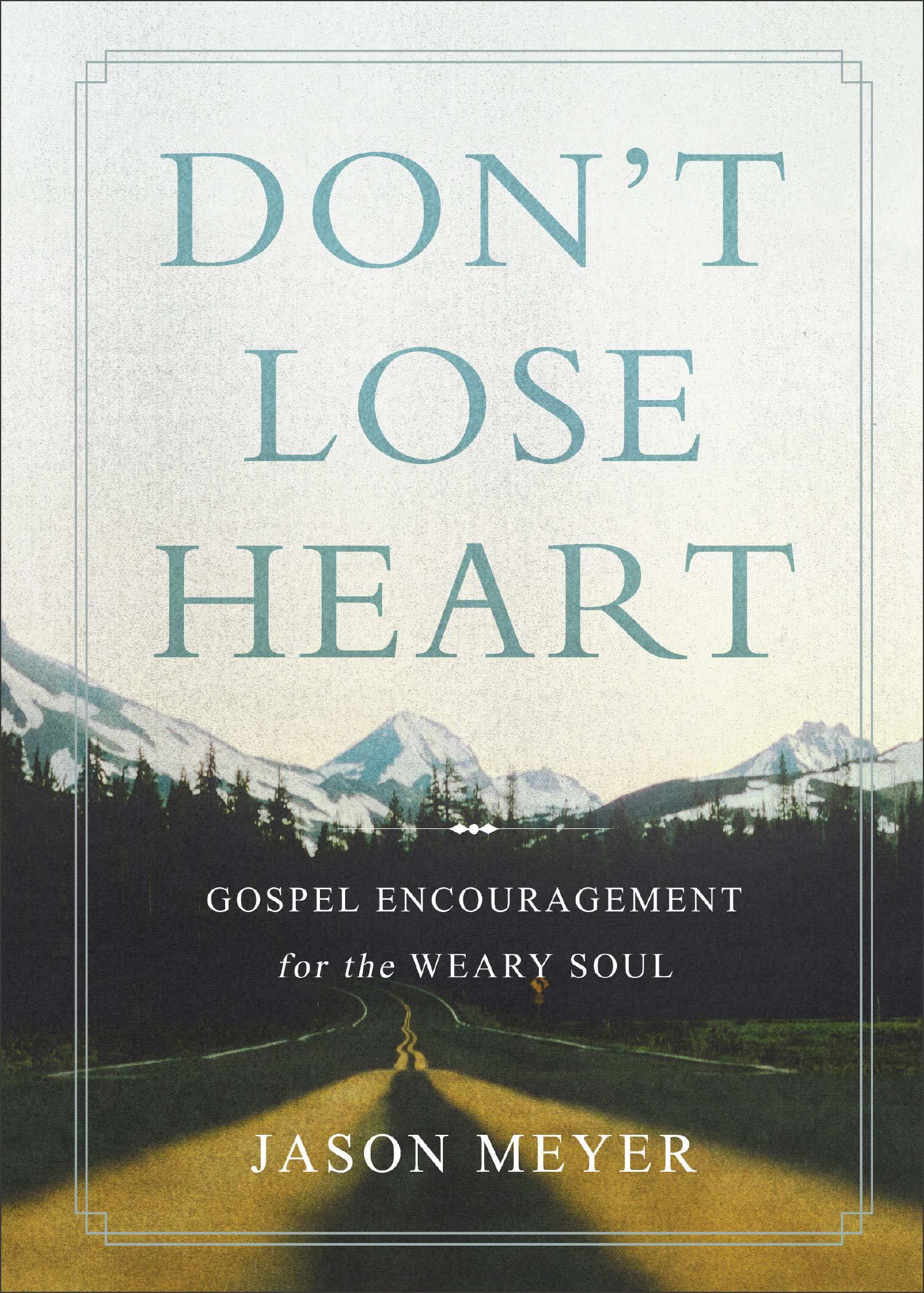 Don't Lose Heart book cover