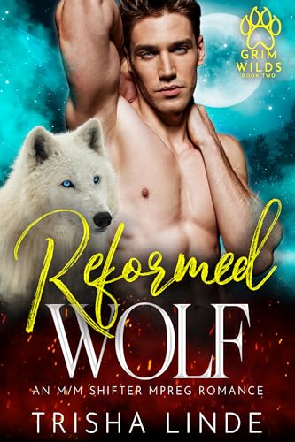 Grim Wilds book cover 2