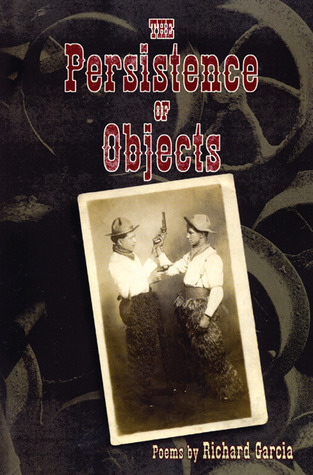 The Persistence of Objects book cover