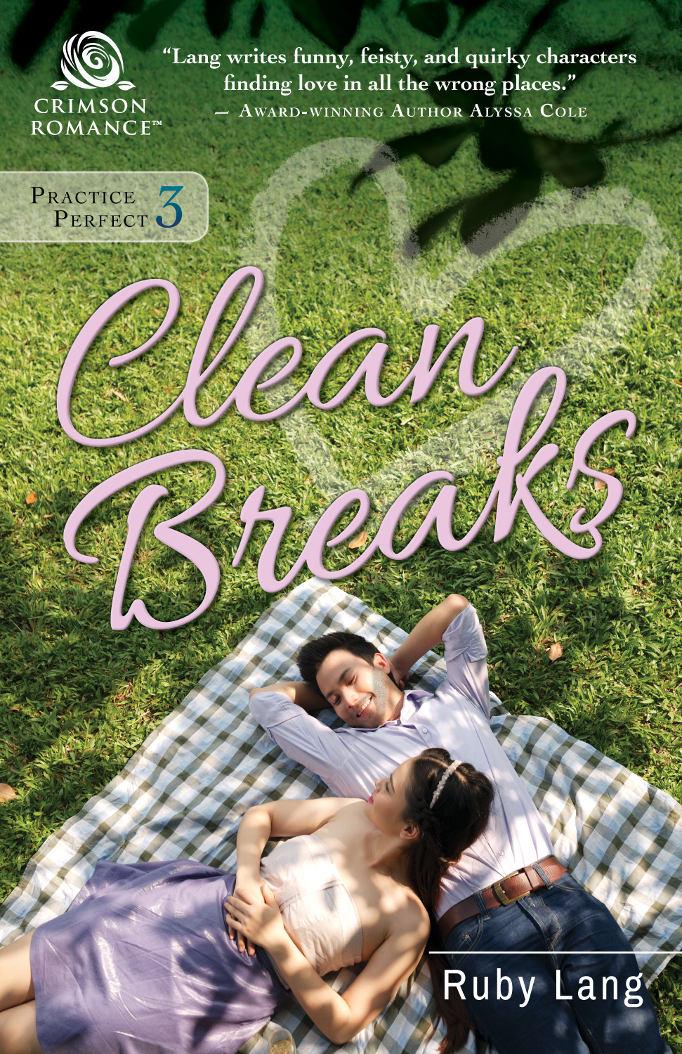 Practice Perfect book cover 3