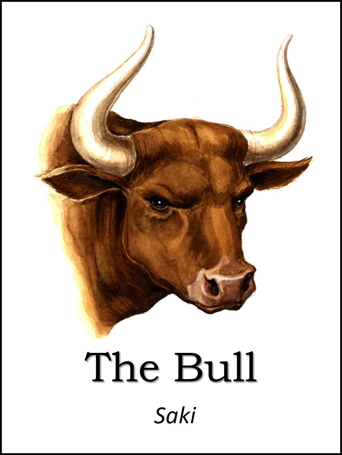The Bull book cover