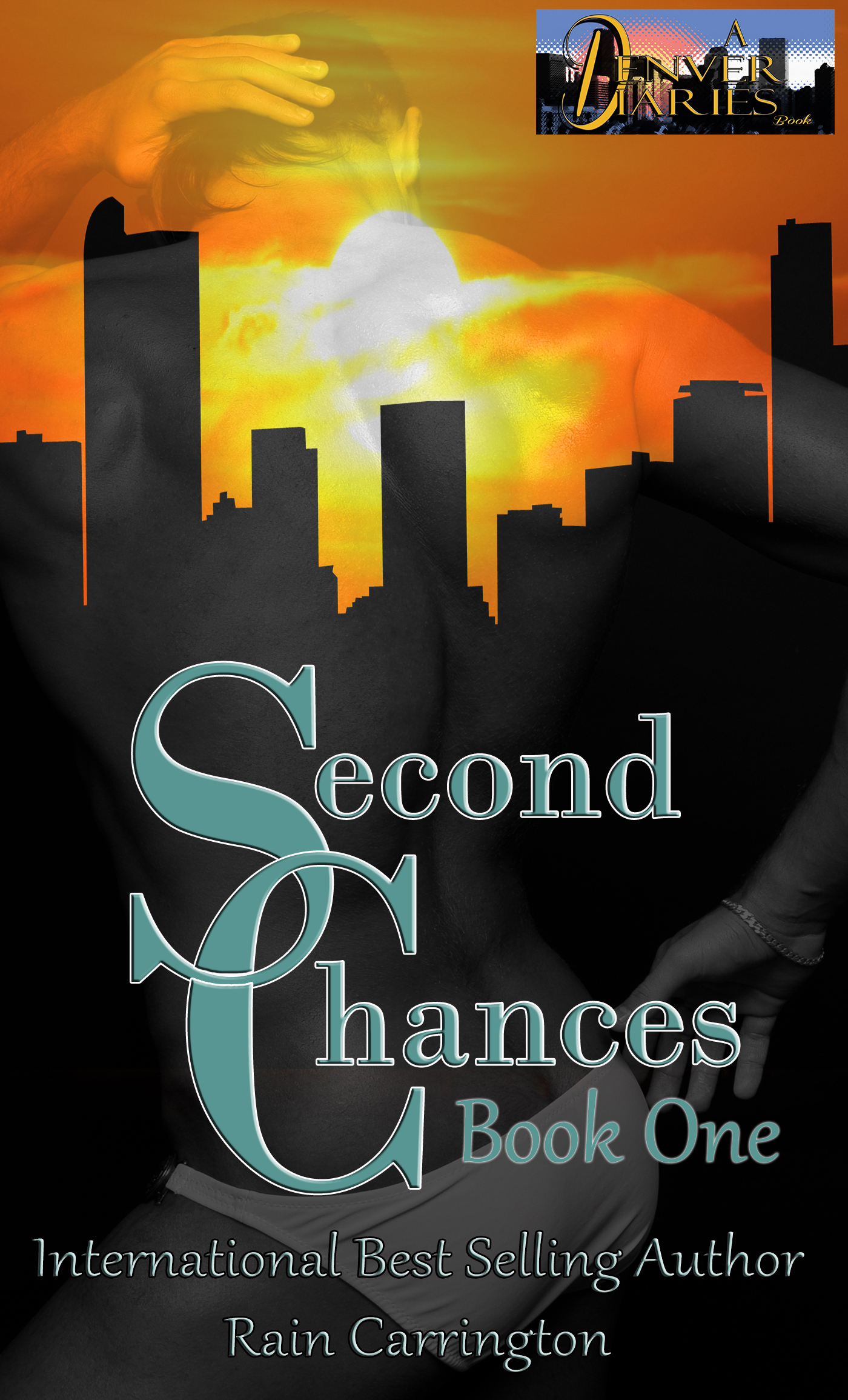 Second Chances book cover 1
