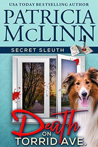 Secret Sleuth book cover 2