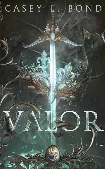Valor book cover